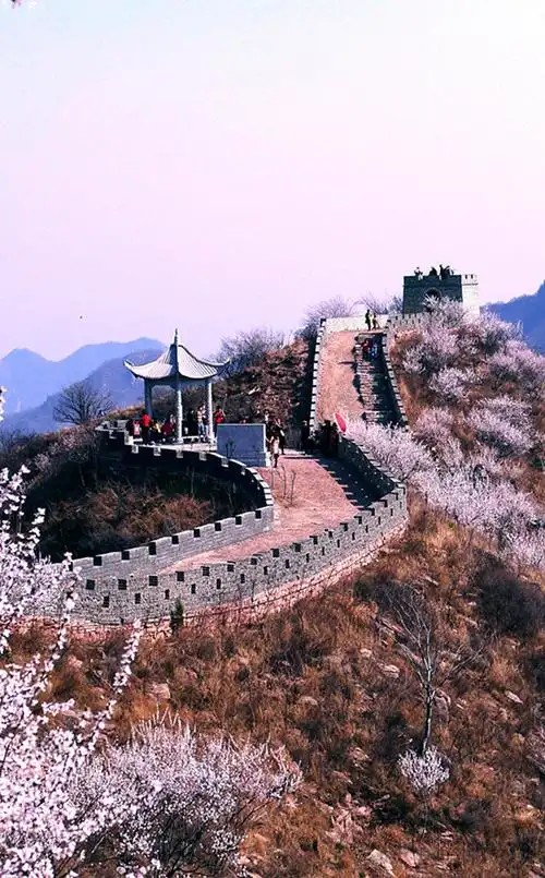 九龙峡山桃花已开等你来赏春