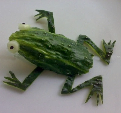 黄瓜制作小动物图片