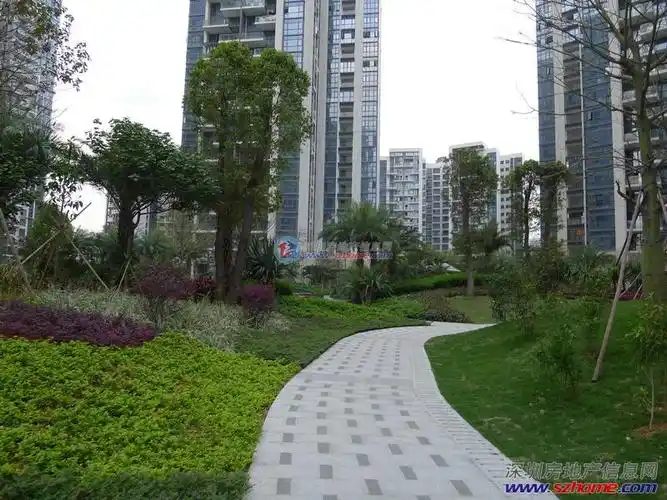 水榭春天 89平米3房 带40多万精装修 拎包入住 景观无敌