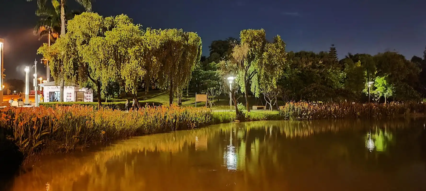 鹤山公园的夜景