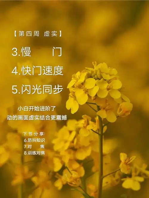 图片虚实结合快门也能做的到