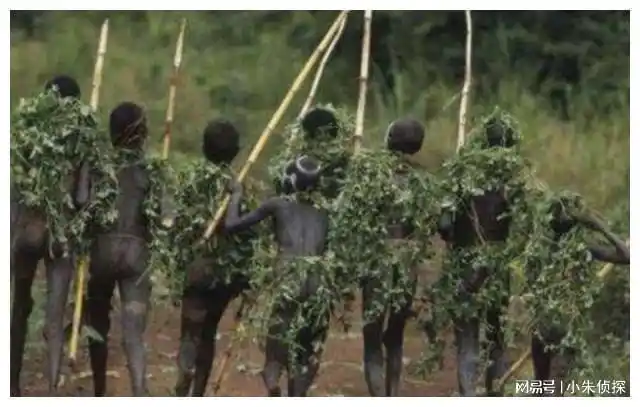 非洲最原始部落女孩用树叶遮羞繁衍后代方式让人无语