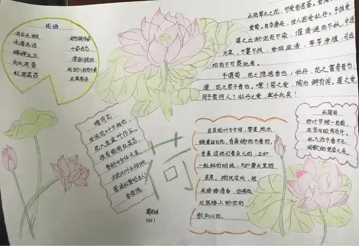 以咏荷为主的手抄报爱为主题的手抄报