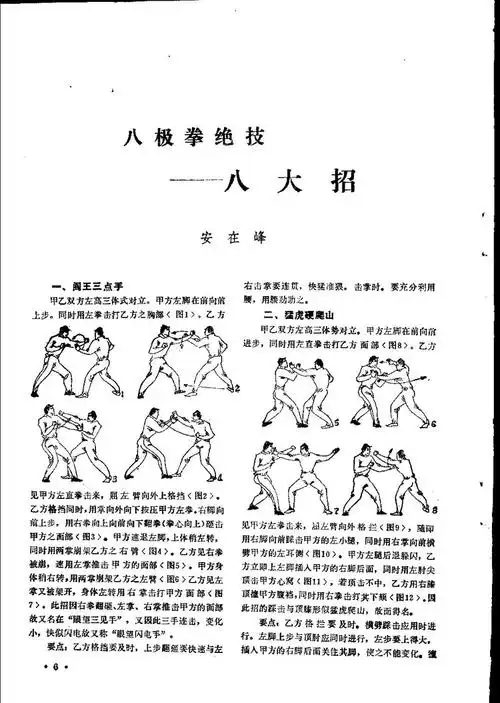 八极拳绝技---八大招 图解