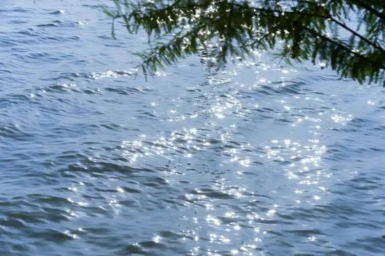 我的最美常州滆湖公园波光粼粼的湖面