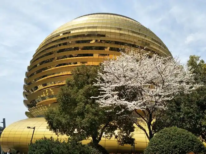 入住杭州洲际酒店.辨识度很高的圆形建筑,在樱花掩映下更显金光灿烂!