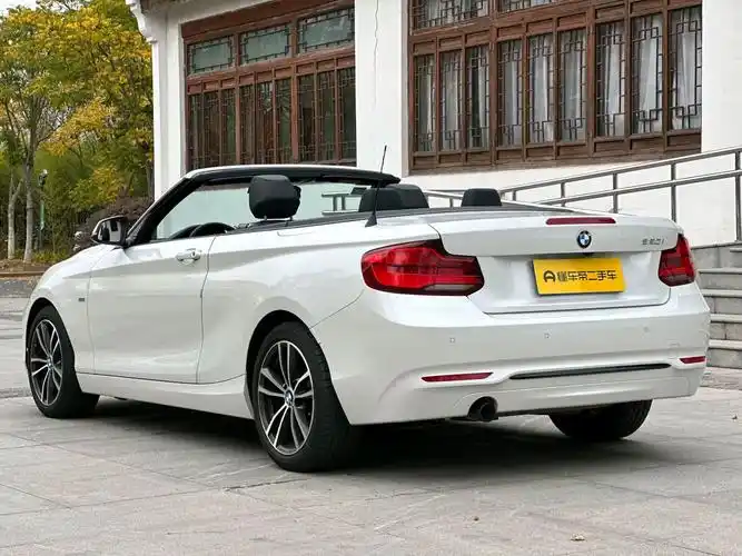 宝马 宝马2系  2018款 220i 敞篷轿跑车 运动设计套装图片