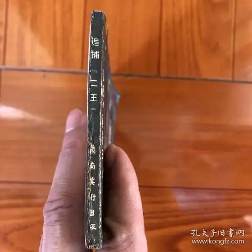 追捕:二王(八十年代震惊中国持枪杀人案件)