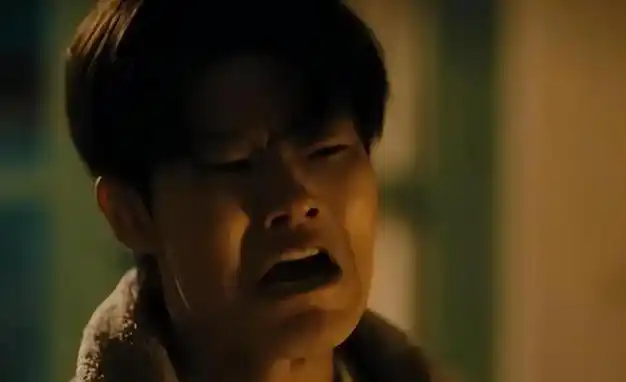 爱情|南雅|张新成_网易订阅