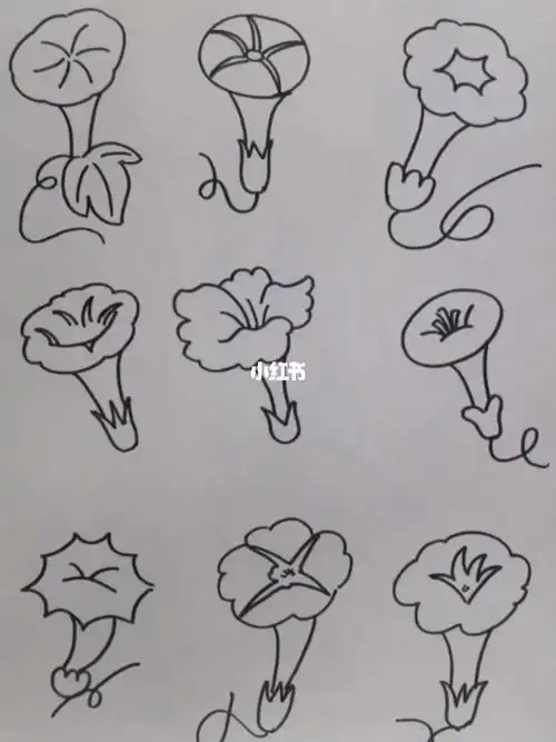 简笔画喇叭花