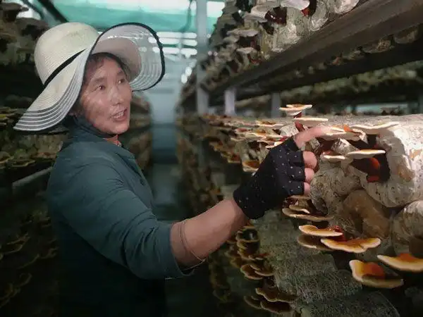 拉萨曲水县四季吉祥村致富带头人洛桑念扎一人富不算富全村富才是真的