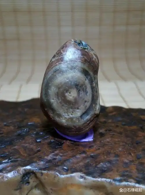 今天的主角,一块长得像眼睛的戈壁玛瑙奇石『天眼』