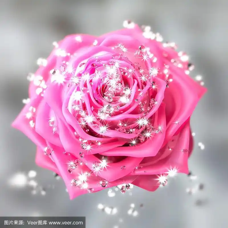 一个钻石玫瑰的特写