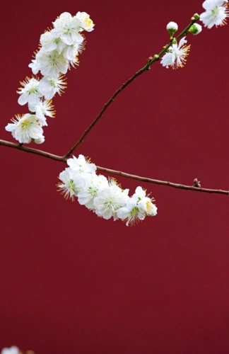 720_1112竖版 竖屏