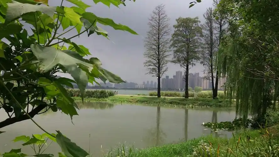 夏日雨后的墨水湖