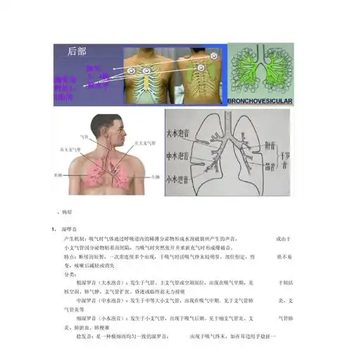 肺部听诊方法及病症分析doc