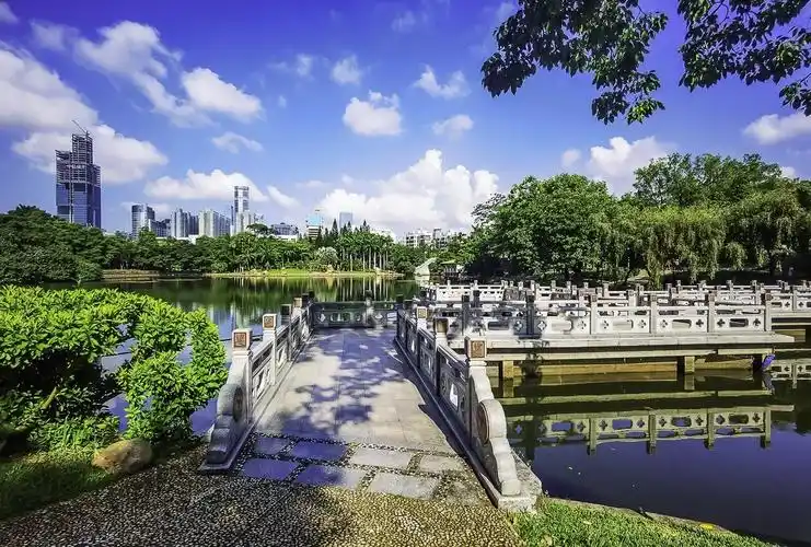 深圳荔枝公园掠影