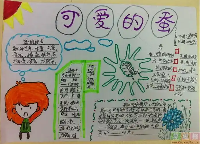 可爱的蚕宝宝手抄报图片