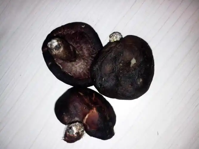 买了一斤黑香菇2元一斤.手感较好,肉厚且软,摸上去有点像肉的感觉.