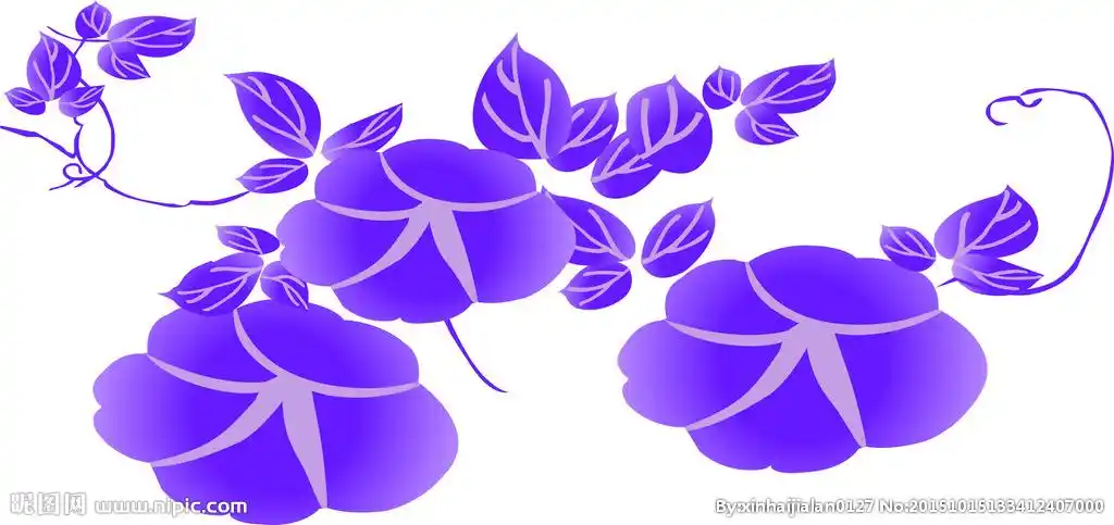 矢量花纹牵牛花图片