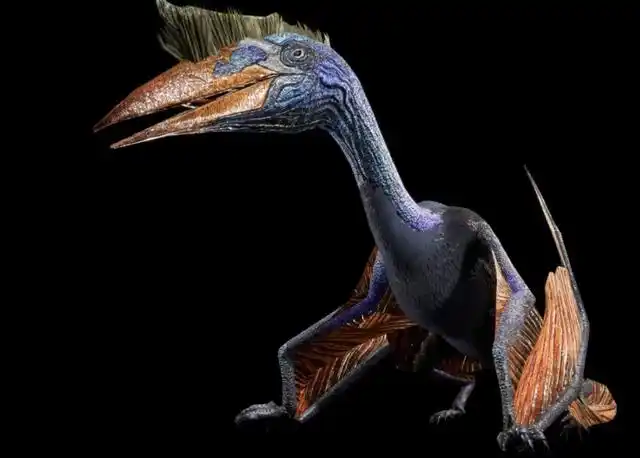 方舟风神翼龙吃什么饲料呢?