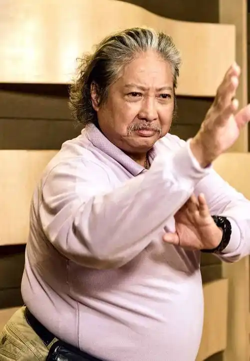 武打明星的最帅"武姿照",李连杰受好评