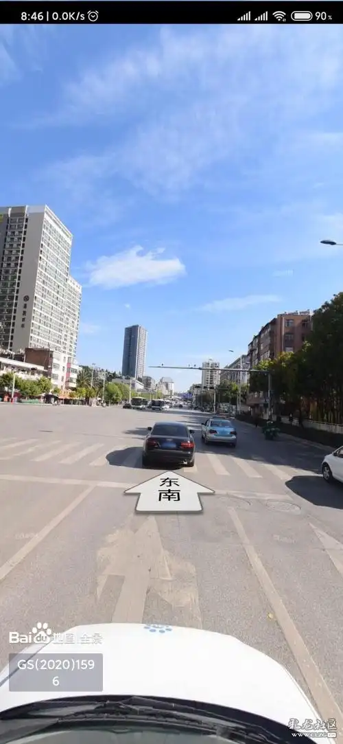 滇缅大道红绿灯被树枝遮挡影响行车安全