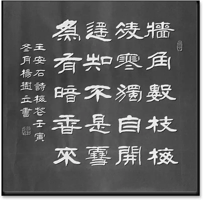 原创书法作品 王安石梅花诗,四尺斗方 - 抖音