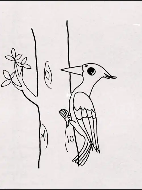 啄木鸟的小办法