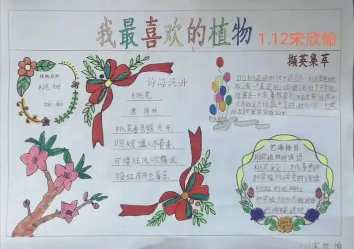 我最喜欢的植物朋友一年级项目学习成果展示
