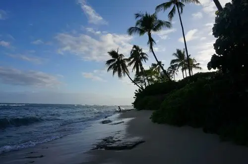 夏威夷,把你唱给我听