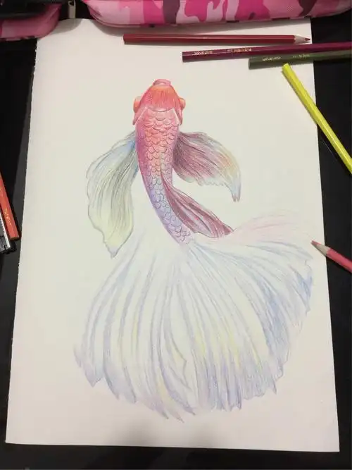 9.20教程-彩色铅笔技法-斗鱼