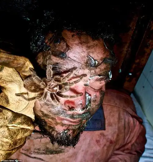 美国圣地牙哥全世界最恐怖的鬼屋mckamey manor:创立14年没有人成功闯