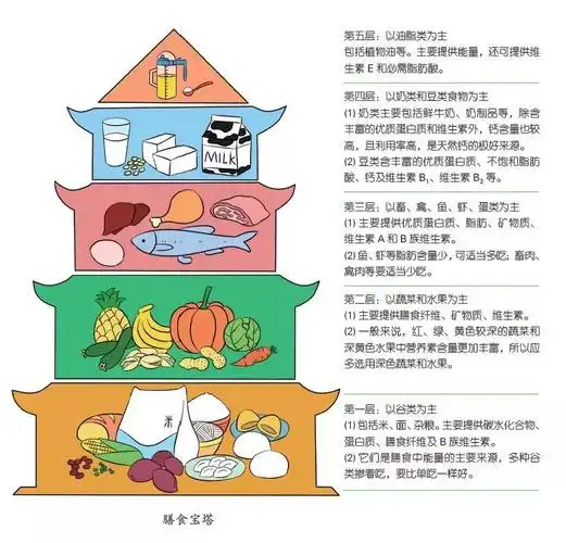 膳食宝塔宝宝膳食结构的最佳参考