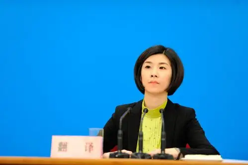 外交部部长杨洁箎答记者问记者会翻译