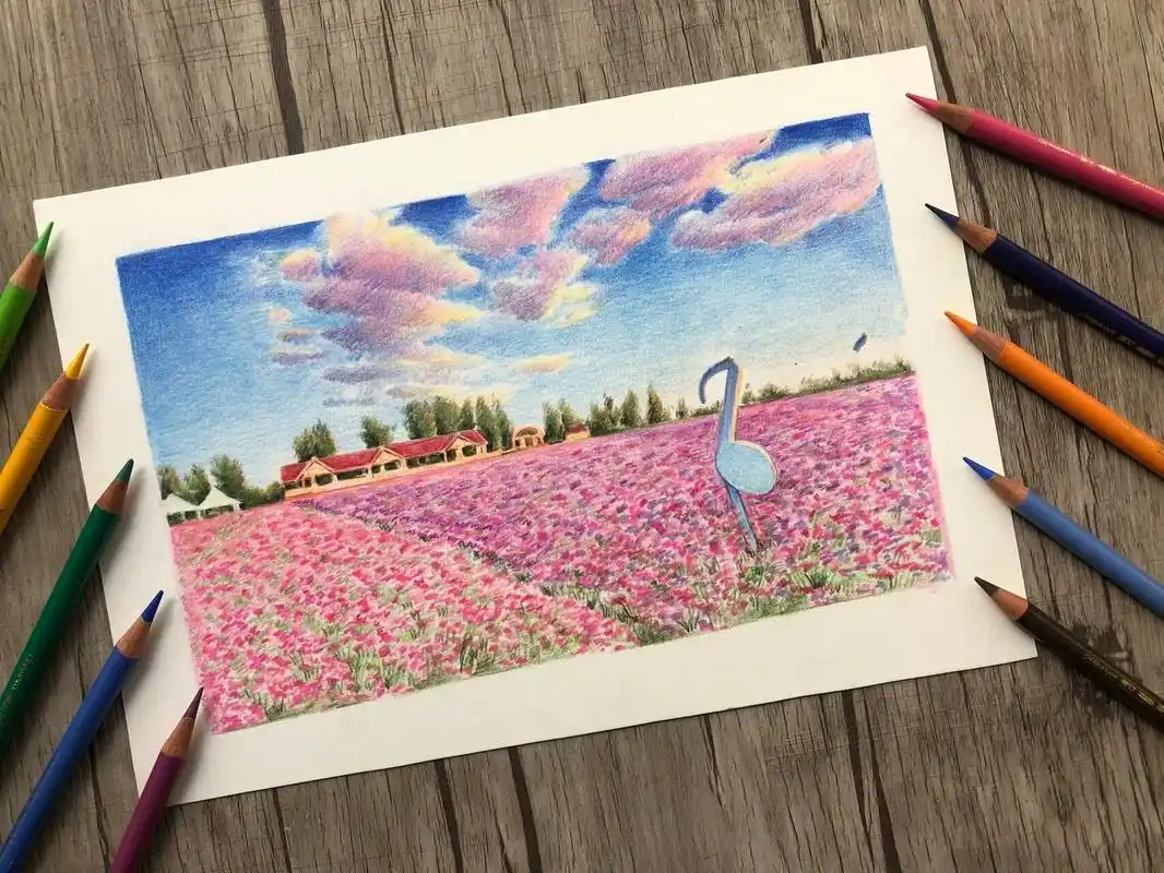 95 彩铅课堂,彩铅花海!7815 有视频课,欲报名请私信!