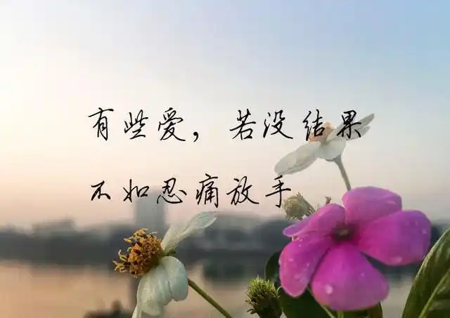 有些爱,若没结果,不如忍痛放手,这一次我真的离开了你,却不敢告诉你