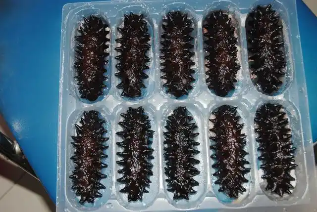 这样的假海参,想不上当都难,爱吃海参的朋友注意了!