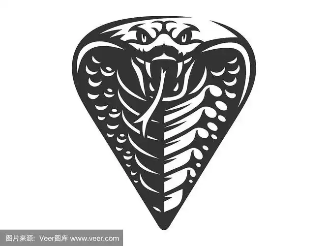 矢量头的蛇,王眼镜蛇插图,印刷,徽章设计在白色的背景.