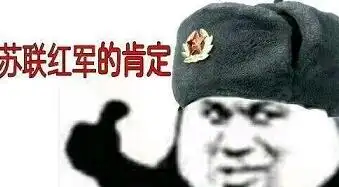 来自大佐的肯定表情包