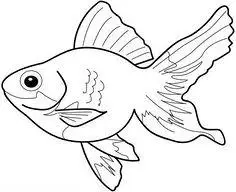 中秋节-花瓣网|陪你做生活的设计师 | 水中的倒影