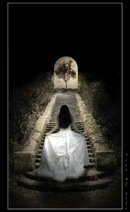 [谁] 谁在弹谁的弦断断续续舞起的回忆挣.