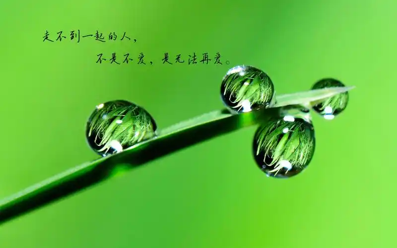 无奈失望的说说带字图片