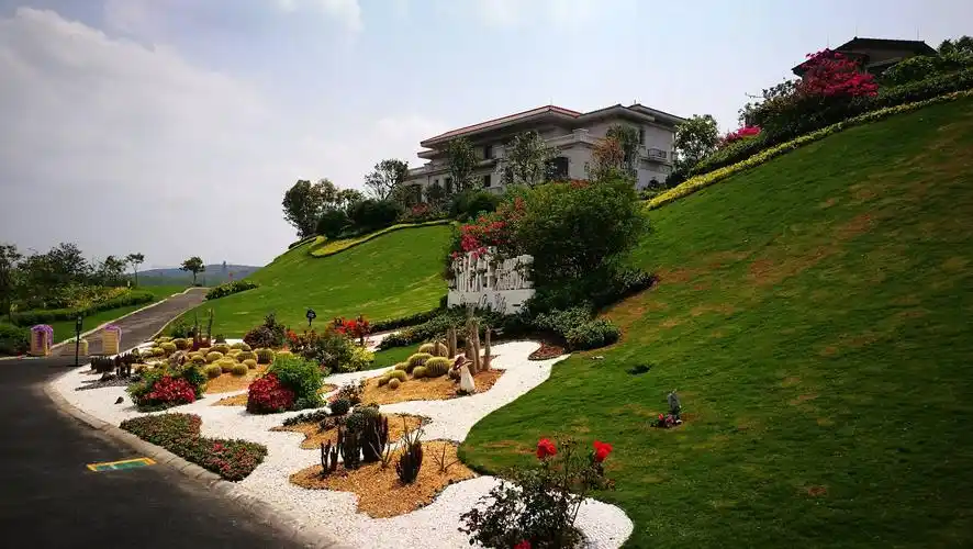 台山碧桂园钻石湾