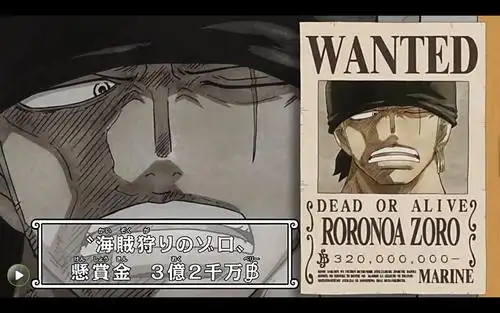 海贼王#草帽海贼团新版通缉令 - 堆糖,美图壁纸兴趣社区