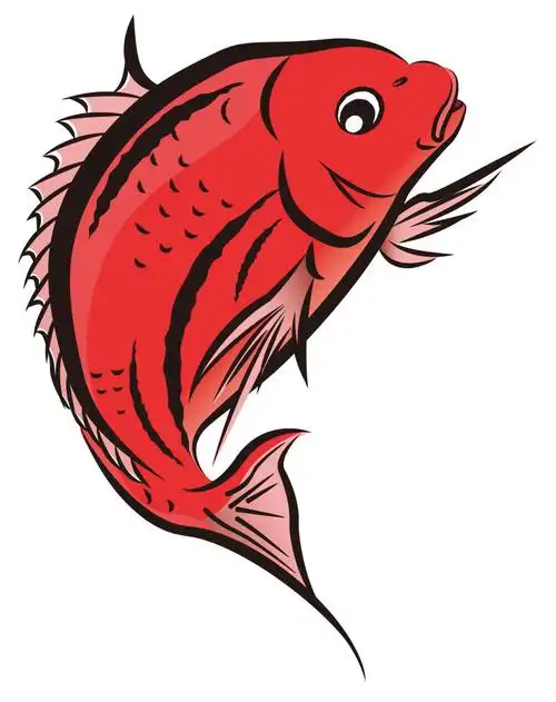 矢量卡通红色鲤鱼