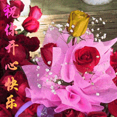 一波中老年表情包