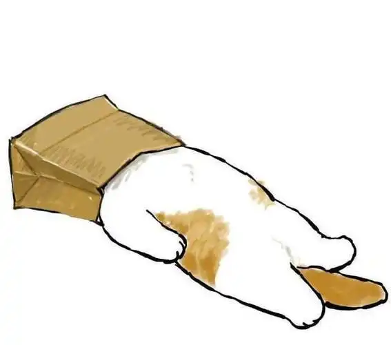 首页123456下一页精选头像加入羊群搞笑图片表情包搞笑小视频学生王