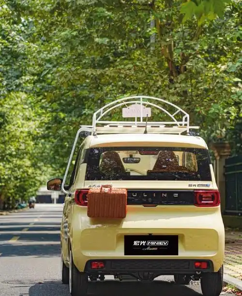 "82年的宏光 mini "时尚出街摩登一夏#五菱宏光miniev  #改装天花板