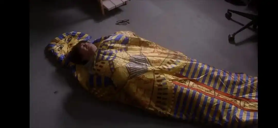 求木乃伊睡袋链接